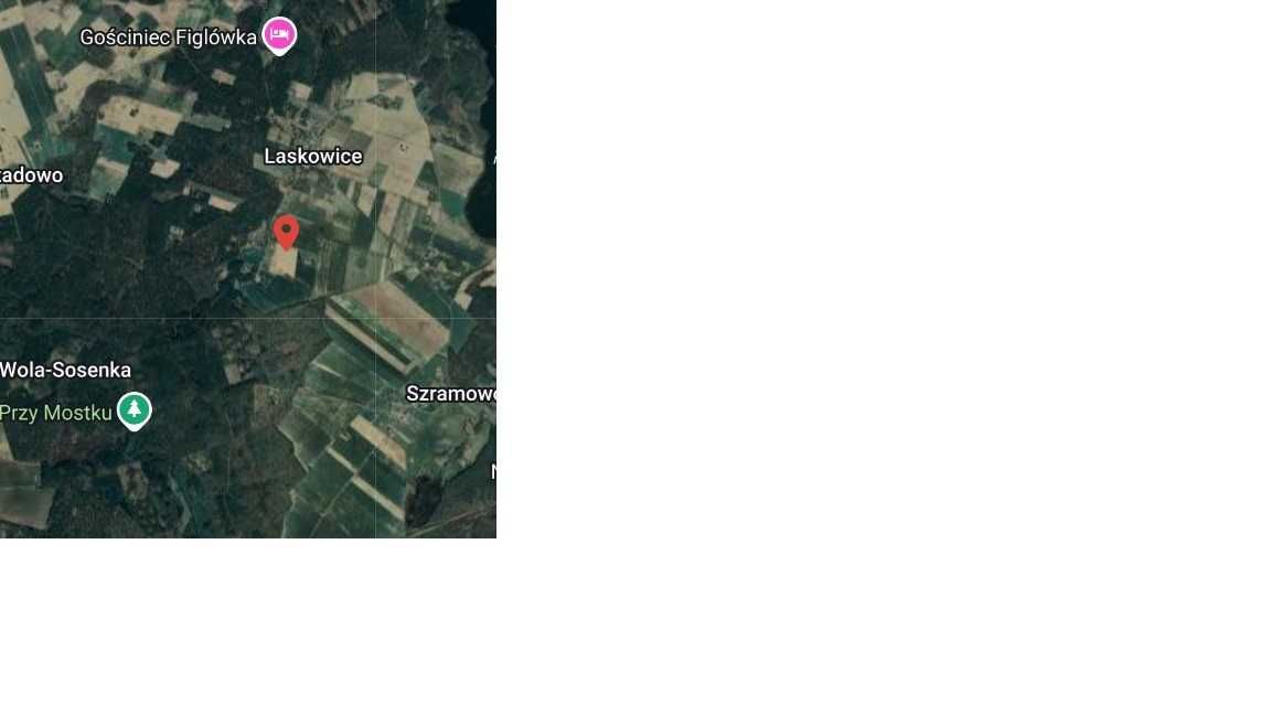 Działka rolno-budowlana Laskowice. Zdjęcie 2