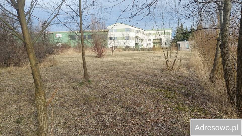 Działka inwestycyjna Reguły, ul. Żytnia. Zdjęcie 2