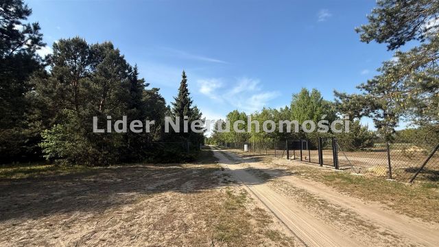 Działka budowlana Morgi. Zdjęcie 3
