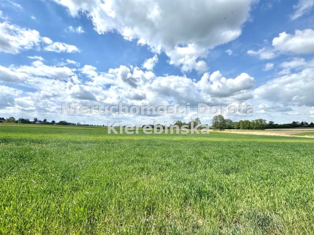Działka inwestycyjna Łaznów. Zdjęcie 11