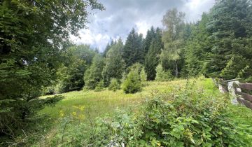 Działka rolna Krynica-Zdrój, ul. Zieleniewskiego