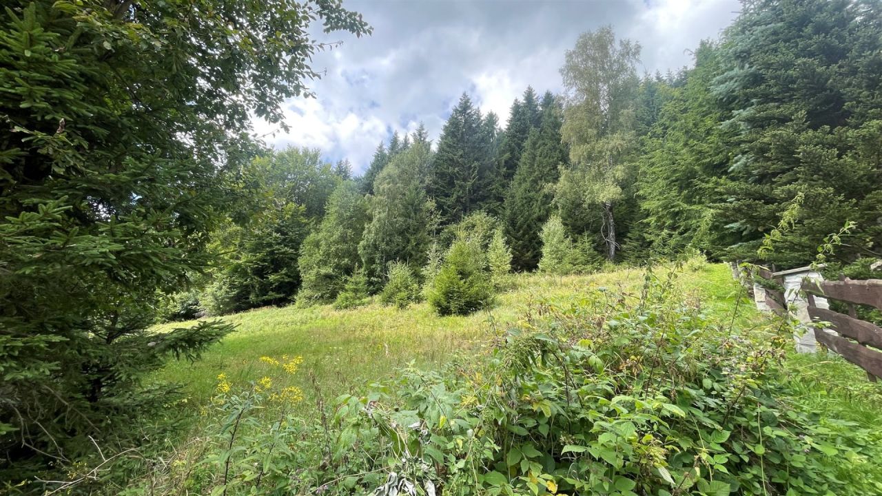 Działka rolna Krynica-Zdrój, ul. Zieleniewskiego. Zdjęcie 2