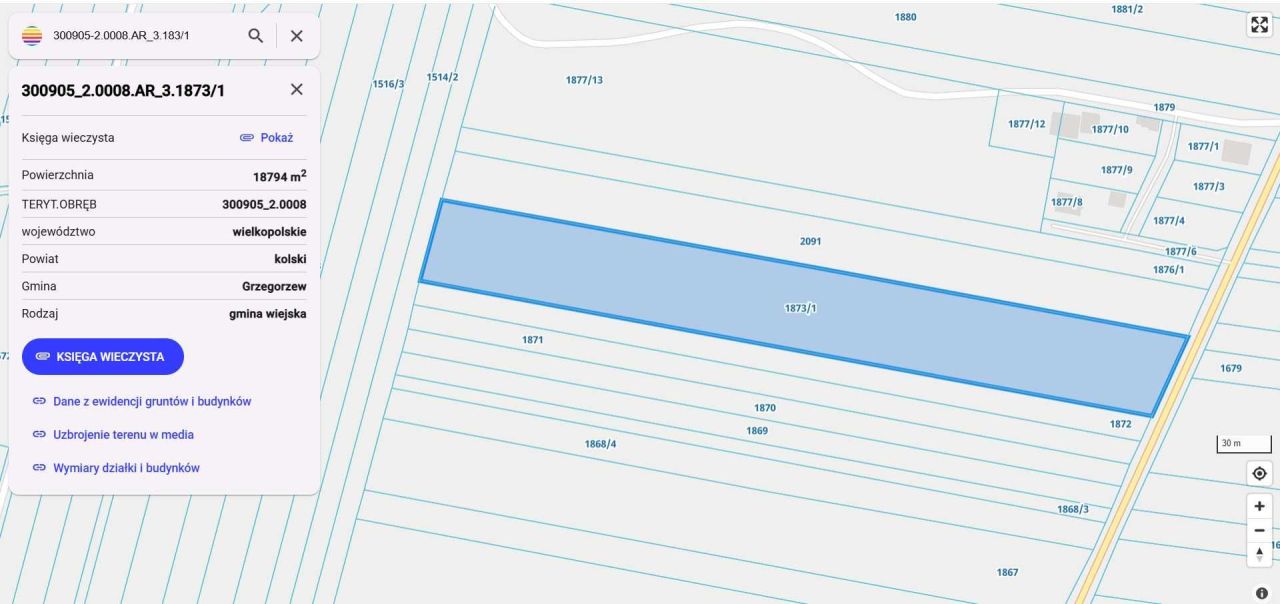 Działka rolna Grzegorzew. Zdjęcie 2