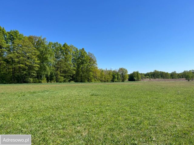 Działka budowlana Pokrzywnica, ul. Wiosenna. Zdjęcie 1