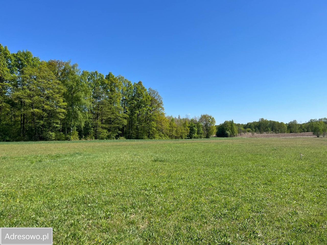 Działka budowlana Pokrzywnica, ul. Wiosenna. Zdjęcie 1