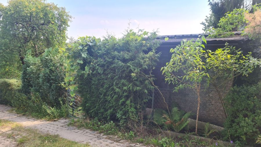Działka rod Gdańsk Matarnia, ul. mjr. Mieczysława Słabego. Zdjęcie 5