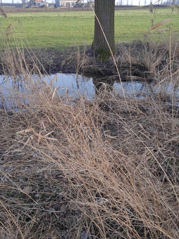 Działka Suserz. Zdjęcie 2