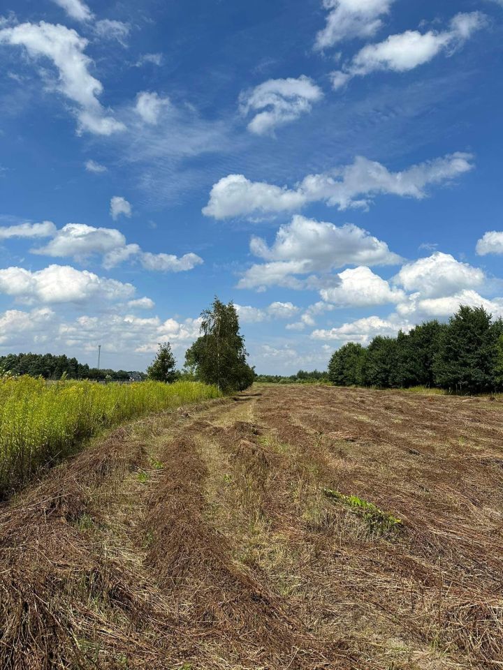 Działka budowlana Wygoda. Zdjęcie 4