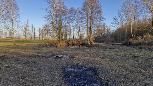 Działka rolno-budowlana Tomaszew. Zdjęcie 11