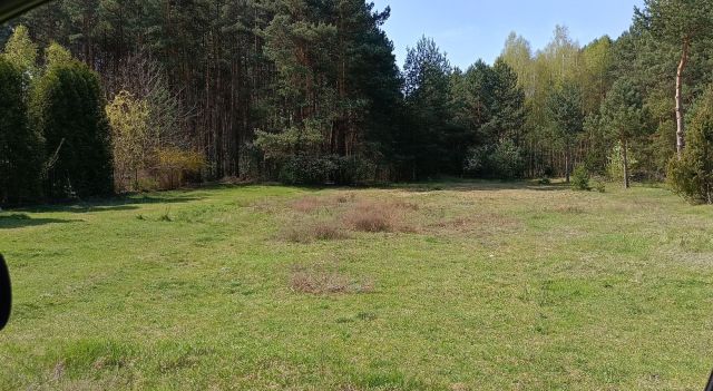 Działka rolna Grabowska Wola. Zdjęcie 1