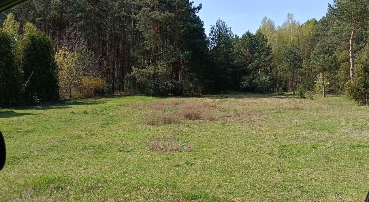 Działka rolna Grabowska Wola