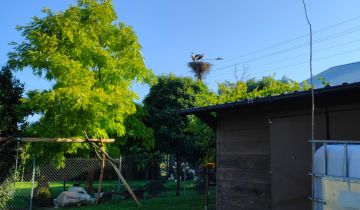 Działka rekreacyjna Olszanka