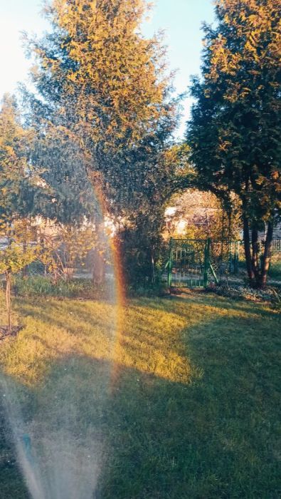 Działka rod Gdańsk Przymorze. Zdjęcie 11