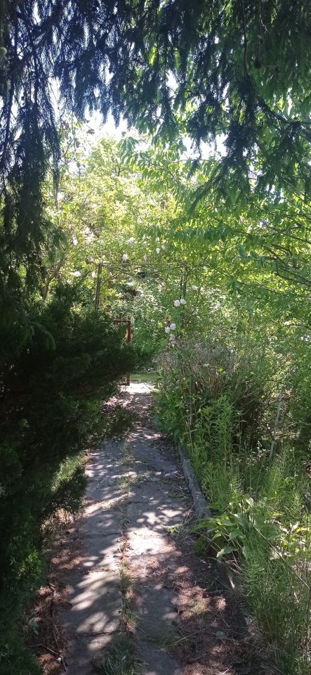 Działka rod Łódź Widzew, ul. Lodowa. Zdjęcie 7