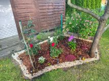 Działka rod Tomaszów Mazowiecki Wilanów. Zdjęcie 2