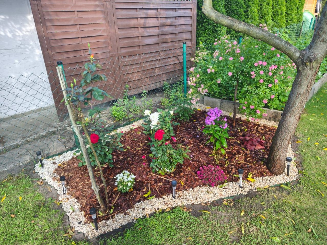 Działka rod Tomaszów Mazowiecki Wilanów. Zdjęcie 3