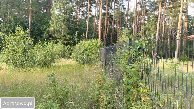 Działka budowlana Warszawa Wawer, ul. Wiązowska. Zdjęcie 7