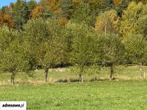 Działka rekreacyjna Lutowiska. Zdjęcie 2