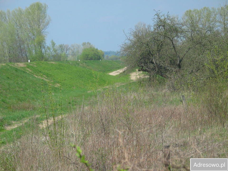 Działka rolna Chwałowice. Zdjęcie 12