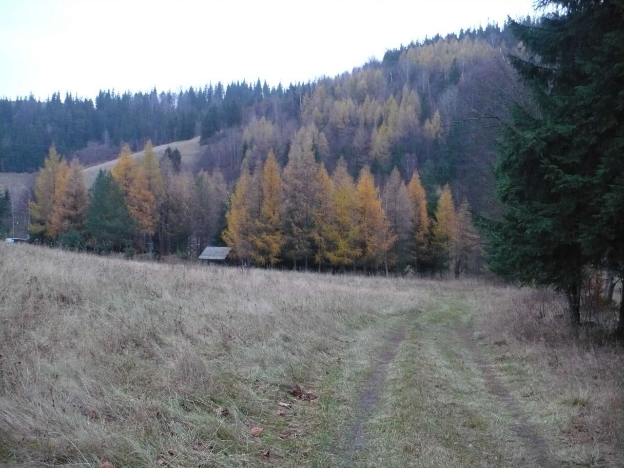 Działka budowlana Nowy Gierałtów. Zdjęcie 6