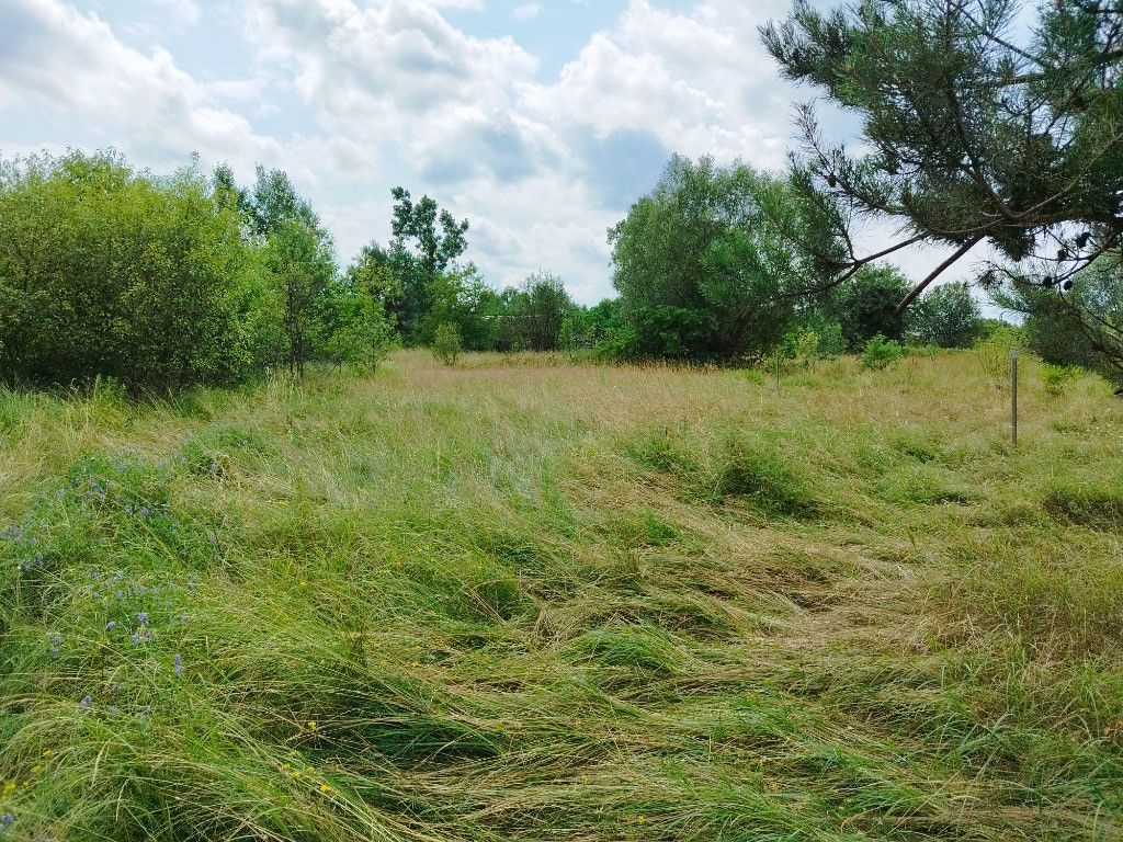 Działka budowlana Tomczyn. Zdjęcie 4