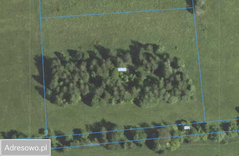 Działka rolna Przecznica. Zdjęcie 2