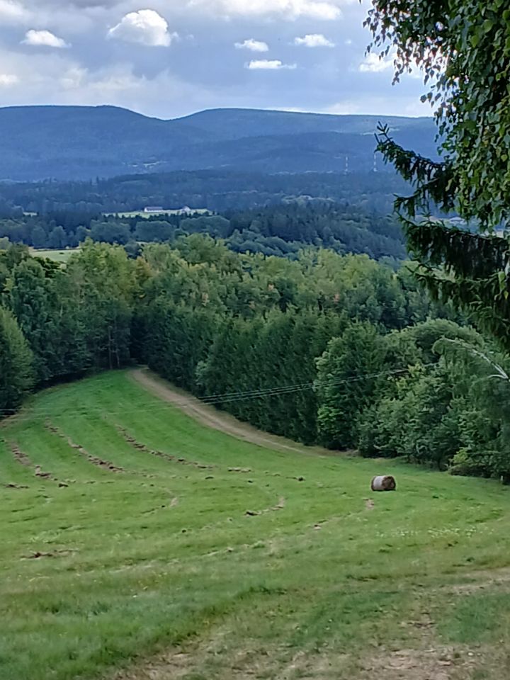 Działka rolno-budowlana Łężyce. Zdjęcie 4