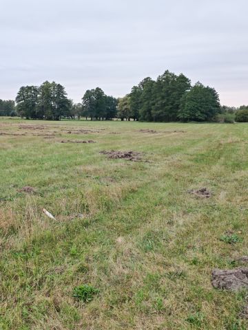Działka rolno-budowlana Budy Zosine, ul. Armii Krajowej. Zdjęcie 2