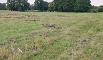 Działka rolno-budowlana Budy Zosine, ul. Armii Krajowej