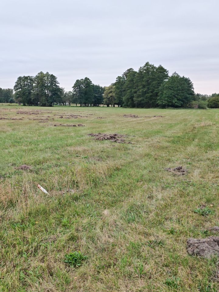 Działka rolno-budowlana Budy Zosine, ul. Armii Krajowej. Zdjęcie 2