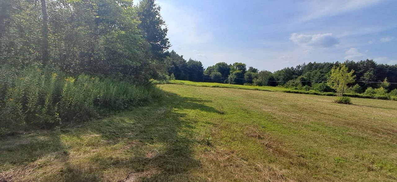 Działka Borów. Zdjęcie 4