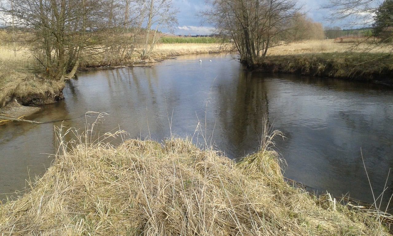 Działka rolno-budowlana Zimne Zdroje. Zdjęcie 6