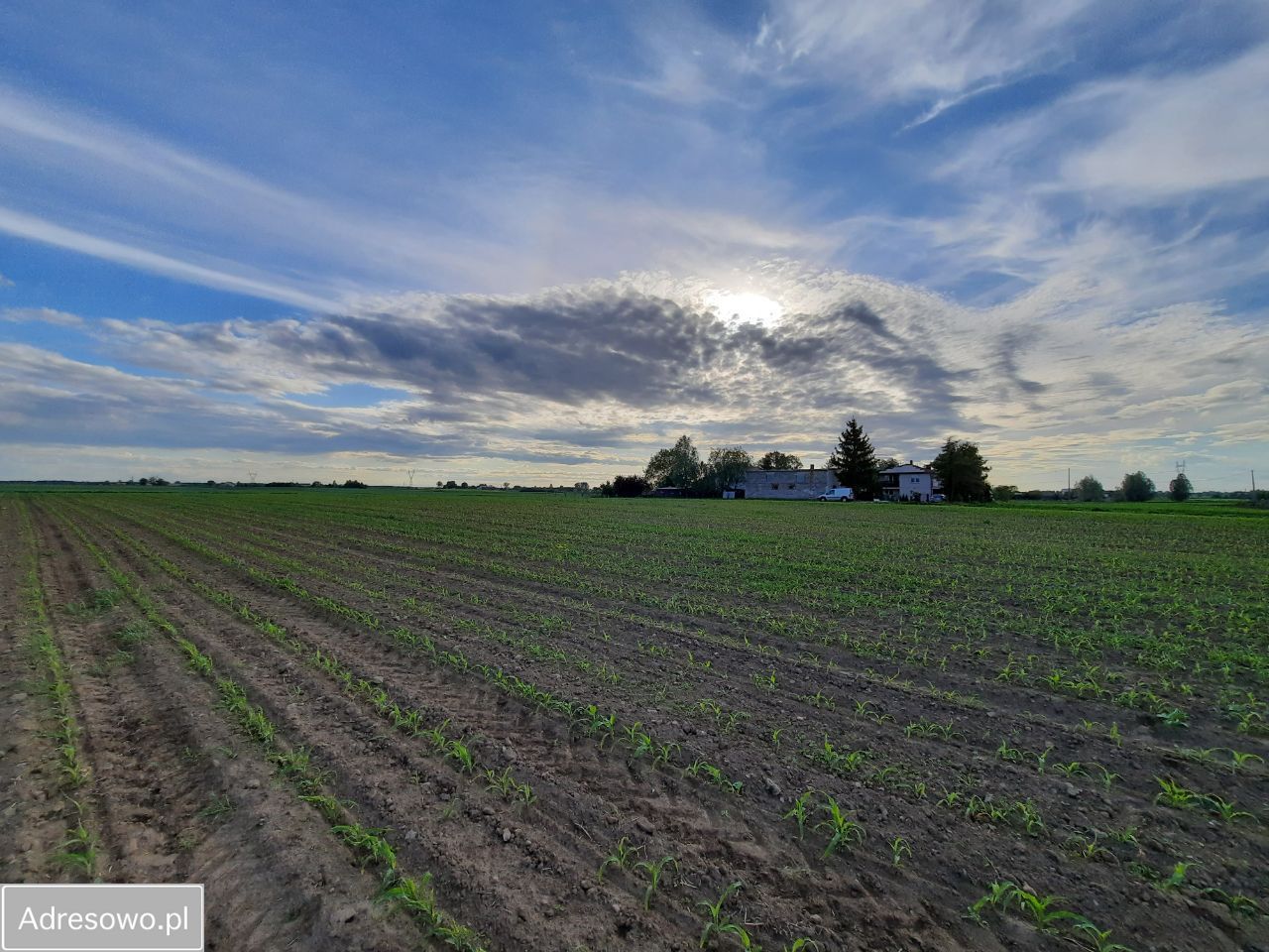 Działka budowlana Papowo Toruńskie Drążkowo, ul. Brzozowa. Zdjęcie 8
