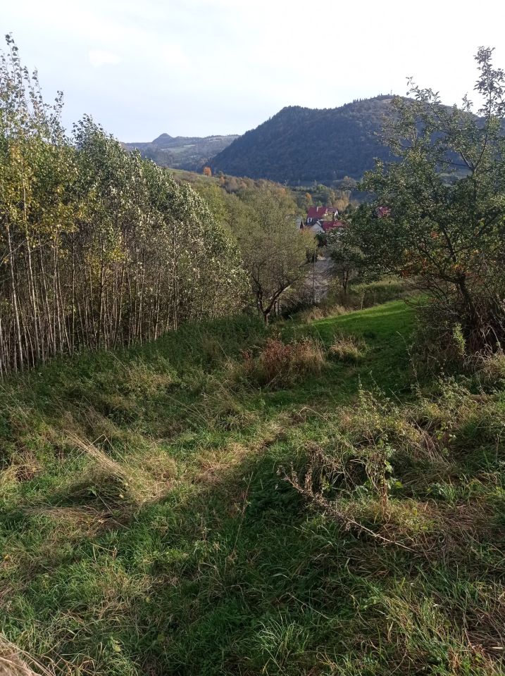 Działka rolna Szczawnica, ul. Sopotnicka. Zdjęcie 6