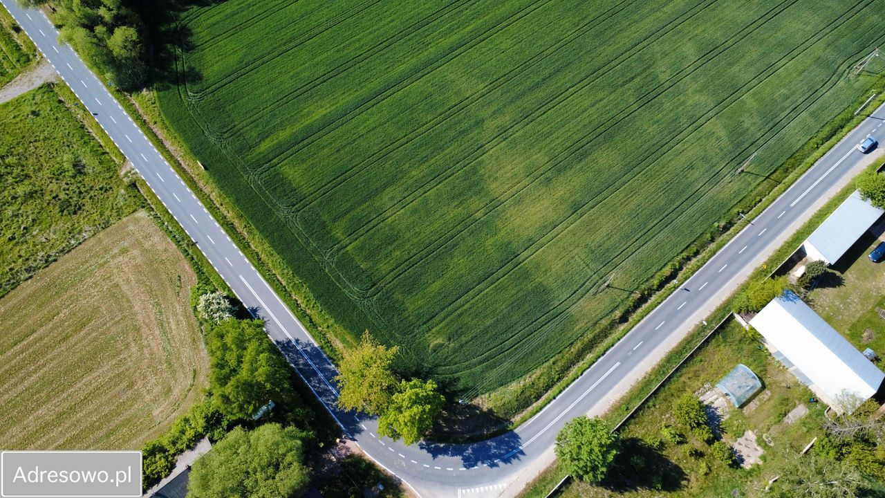 Działka inwestycyjna Trzcianna. Zdjęcie 6