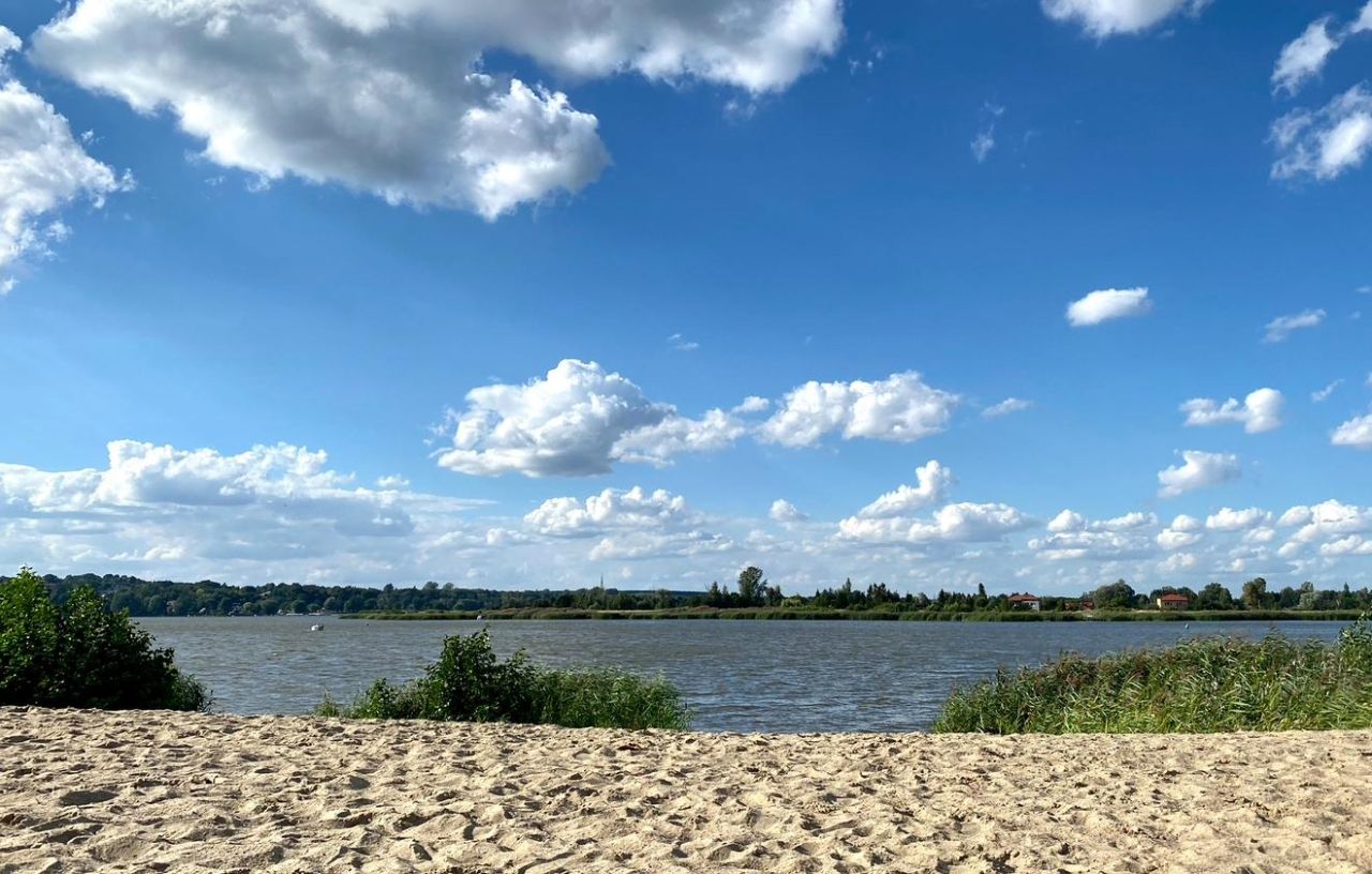 Działka budowlana Arciechów Dąbrowa, ul. Pod Świerkami. Zdjęcie 6