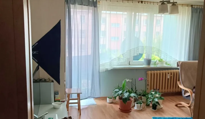Mieszkanie 2-pokojowe Małogoszcz
