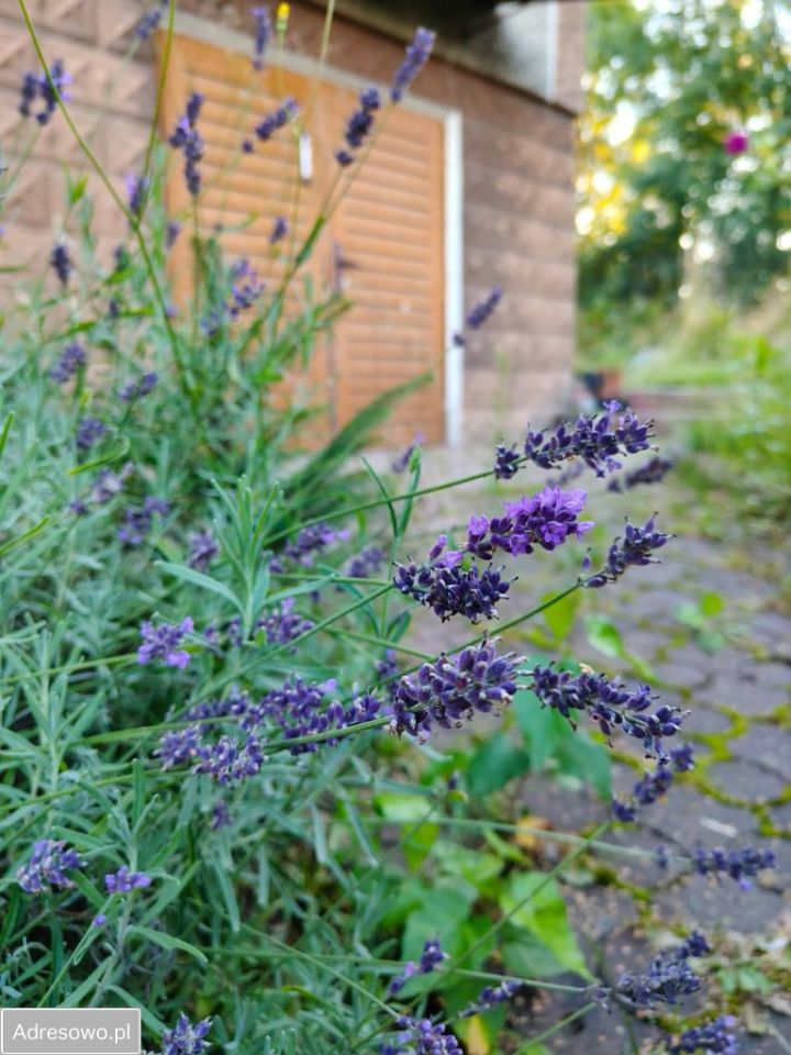 dom wolnostojący, 4 pokoje Klecza Dolna, ul. Stryszowska. Zdjęcie 8