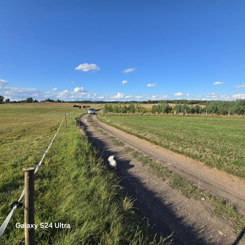 Działka Gradówek. Zdjęcie 4