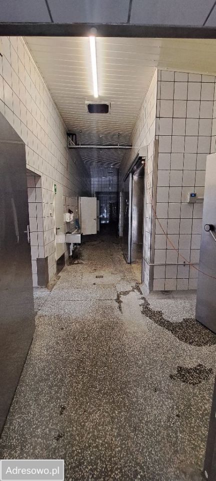 Hala/magazyn Koło, ul. Boguszyniecka. Zdjęcie 3