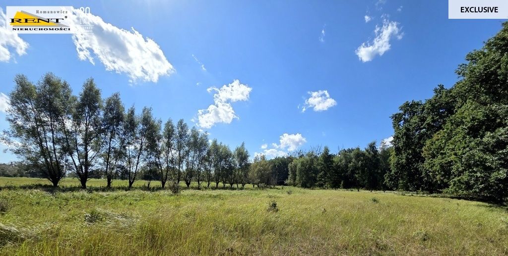 Działka budowlana Kopice. Zdjęcie 2