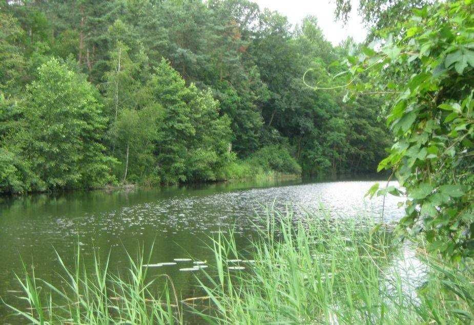 Działka budowlana Żółwieniec. Zdjęcie 6