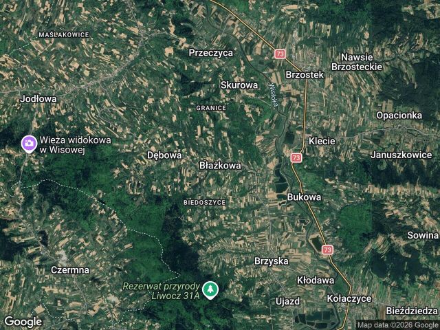 Działka rolno-budowlana Błażkowa. Zdjęcie 1