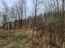 Działka budowlana Dobrzelów. Zdjęcie 4