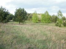 Działka rolno-budowlana Godzimierz. Zdjęcie 3