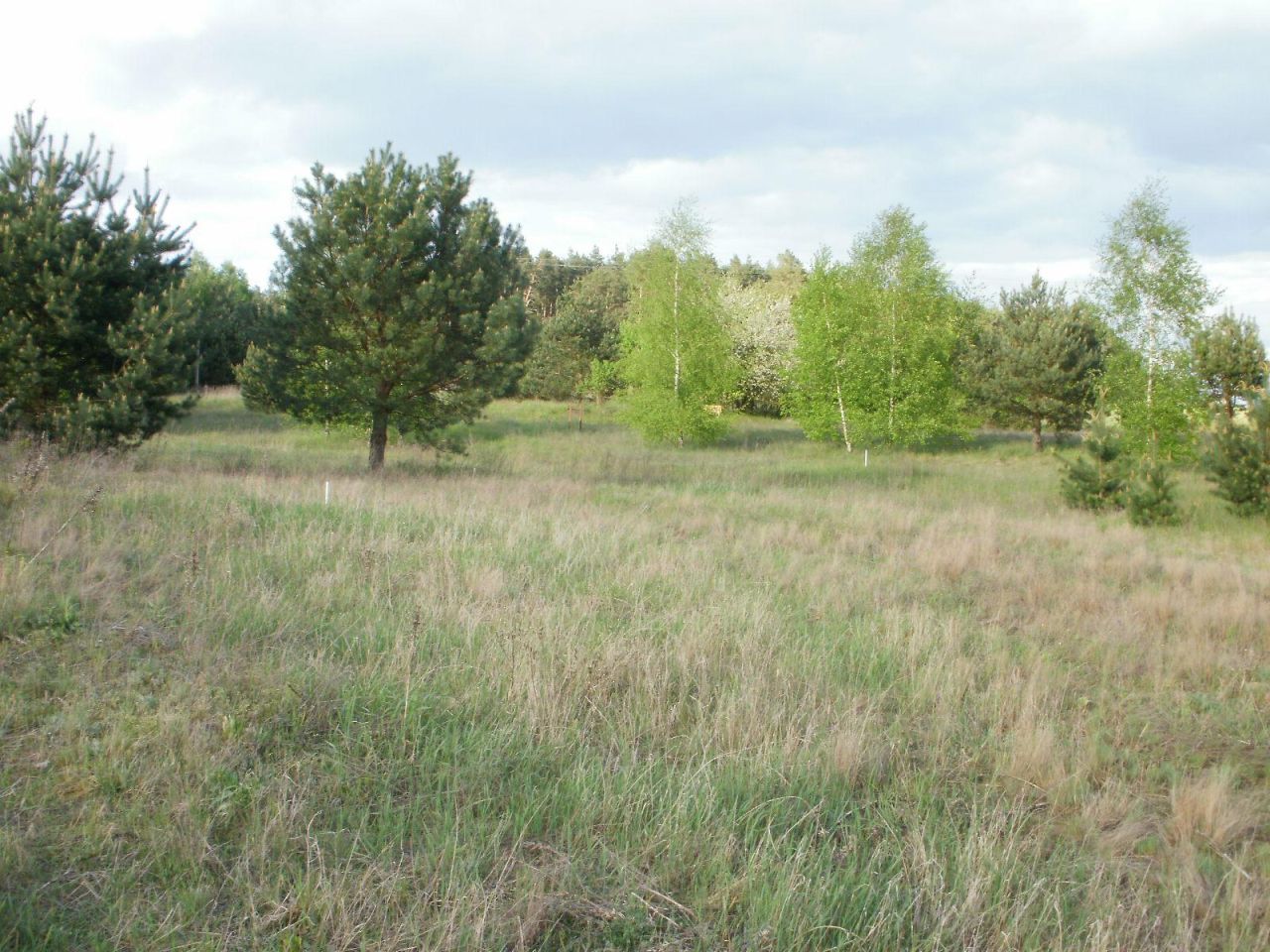 Działka rolno-budowlana Godzimierz. Zdjęcie 4