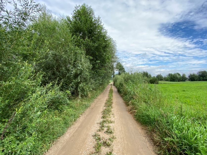 Działka rekreacyjna Dreństwo. Zdjęcie 8