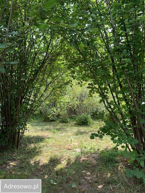 Działka budowlana Krępiec. Zdjęcie 3