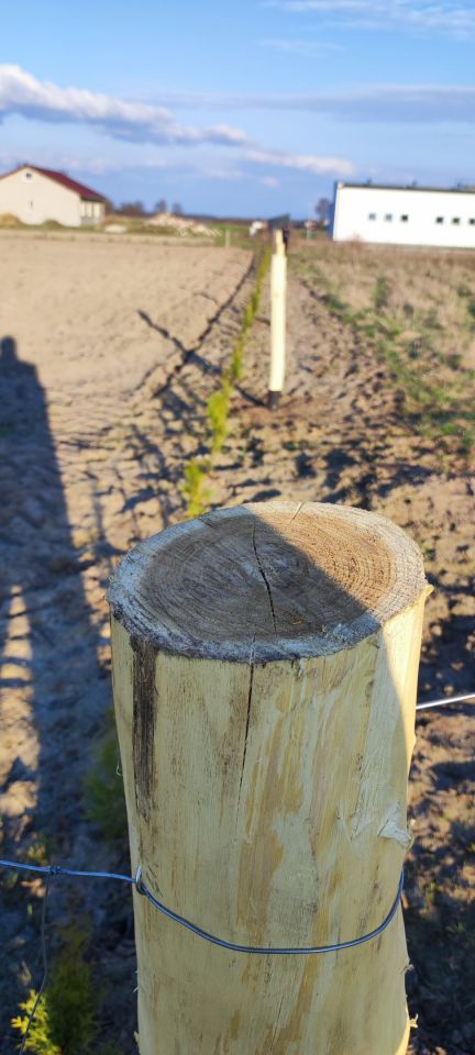 Działka budowlana Uników. Zdjęcie 5