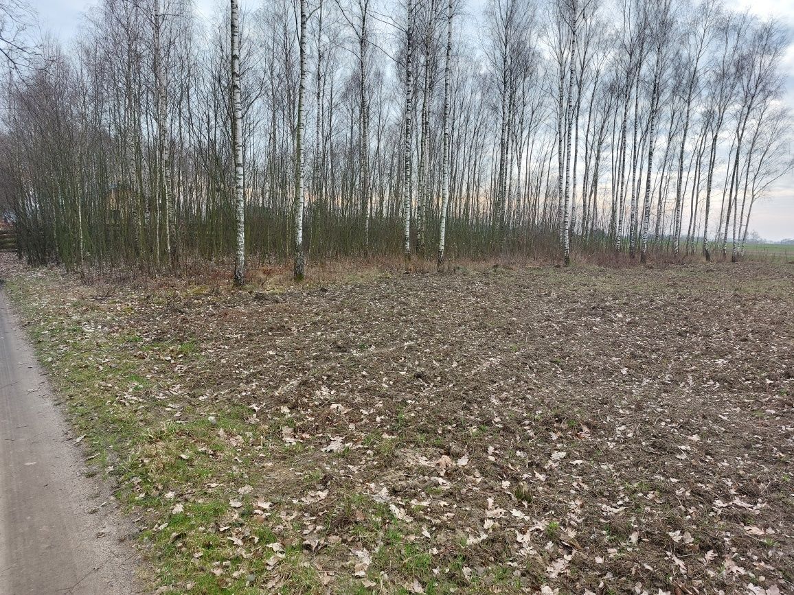 Działka budowlana Sobanice. Zdjęcie 8